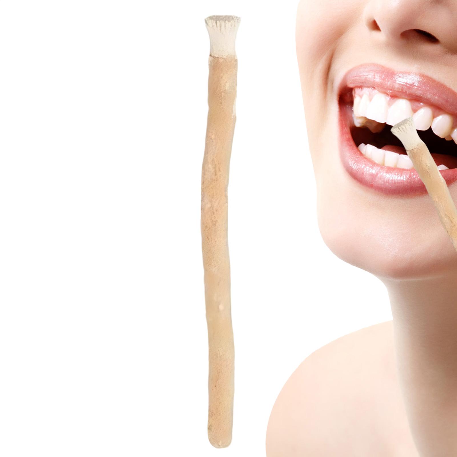 Teeth Whitening Naturally - แปรงสีฟันธรรมชาติแบบพกพา แปรงสีฟันแบบดั้งเดิม น้ำยาฟอกสีฟันแบบแมนนวล ไม้จิ้มฟันดูแลสุขภาพฟันแบบแมนนวล สำหรับการเดินทาง แปรงสีฟันแบบแมนนวล